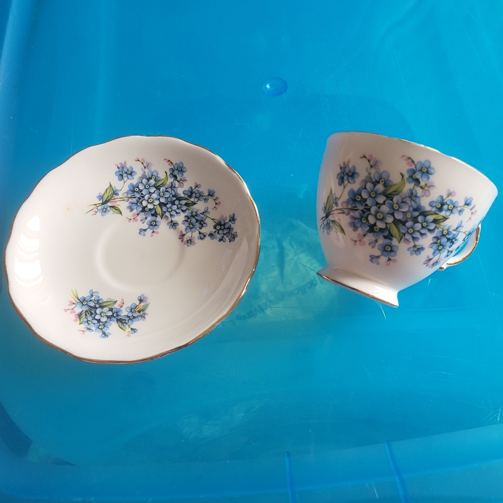 Rosina bone china